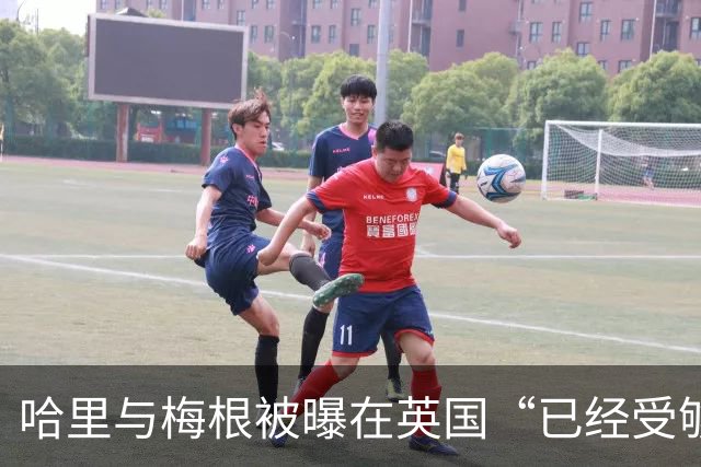 哈里与梅根被曝在英国“已经受够了”，坦言想念美国加州的“家”